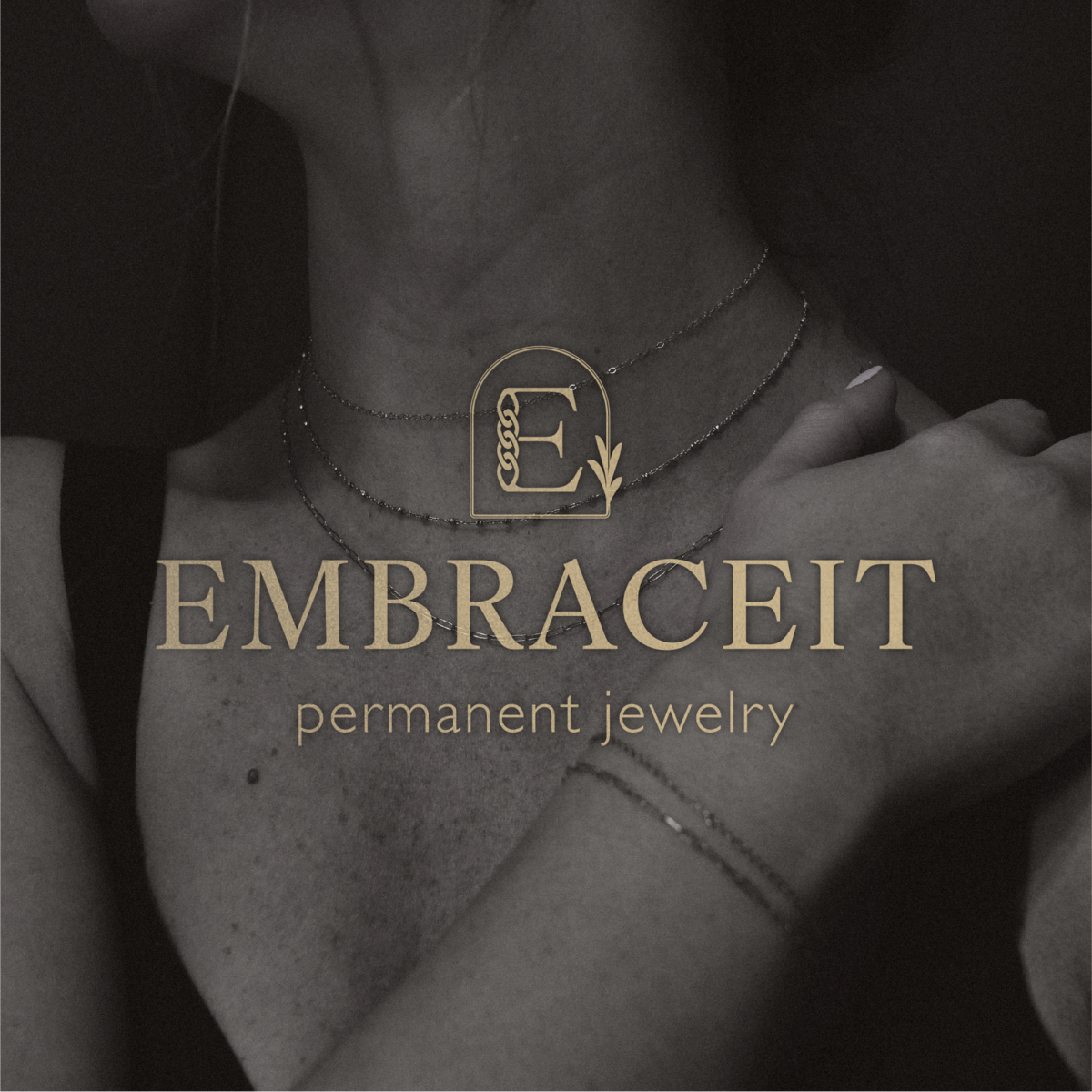 EMBRACEIT Cover Image