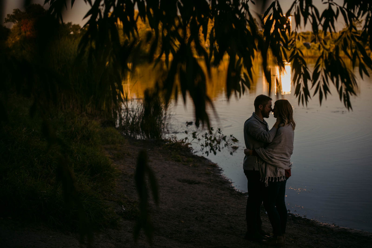 engaged couple under a tree by the water at sunset