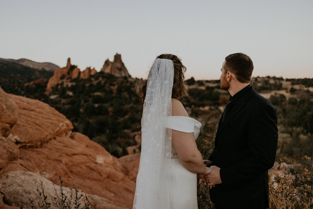 bride and groom looking off on the park in Garden of the Gods in Colorado
