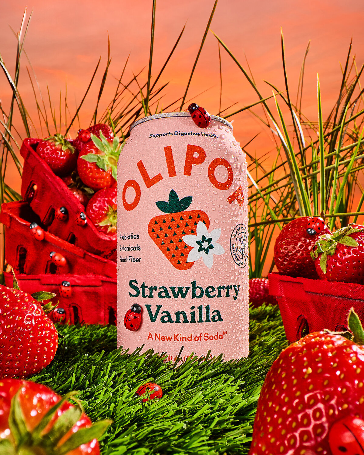 Copy of OLIPOP_May 2025_Shot 11