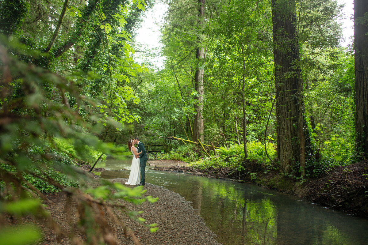 Avenue-of-the-Giants-Redwood-Forest-Elopement-Humboldt-County-Elopement-Photographer-Parky's Pics-13