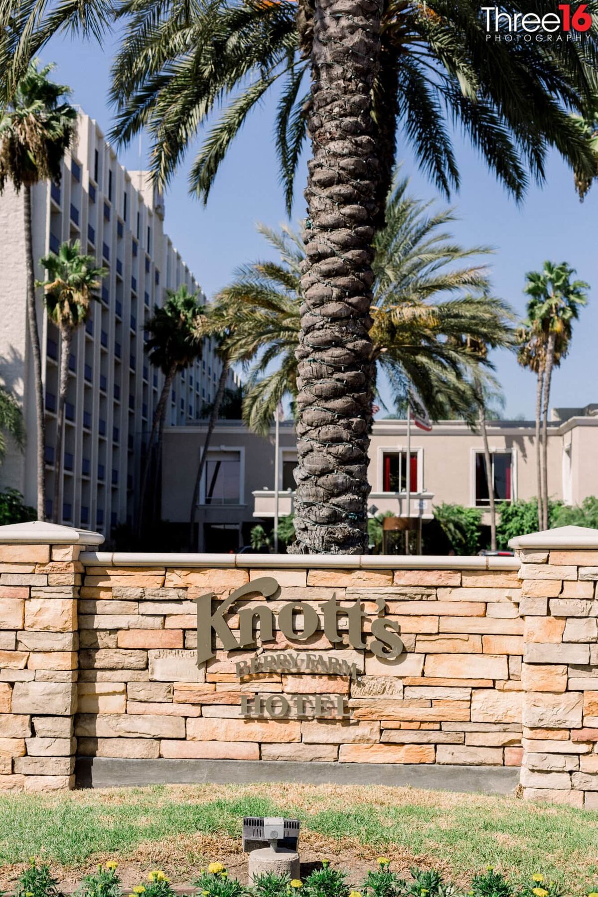 Knott's Berry Farm Hotel signage under the palm trees