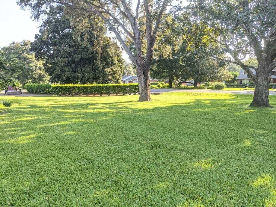 American Grounds Service provides reliable and professional lawn care service and landscaping maintenance in the Dunnellon Florida area.