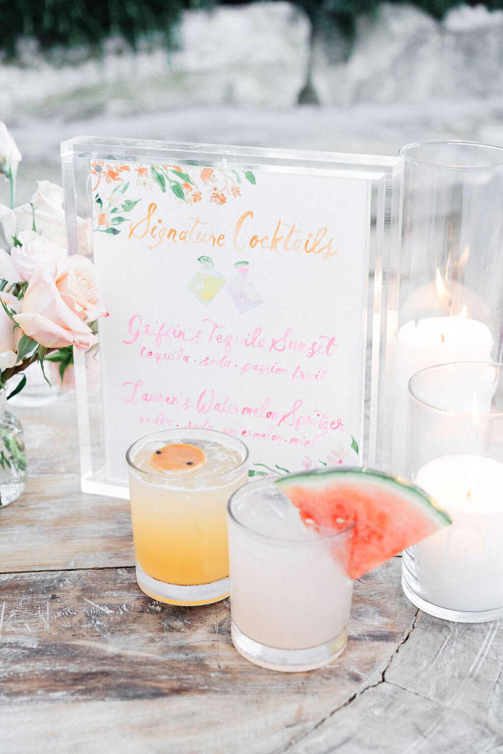 Lauren_Griff_Wedding_Jana_Williams_Photo-1169