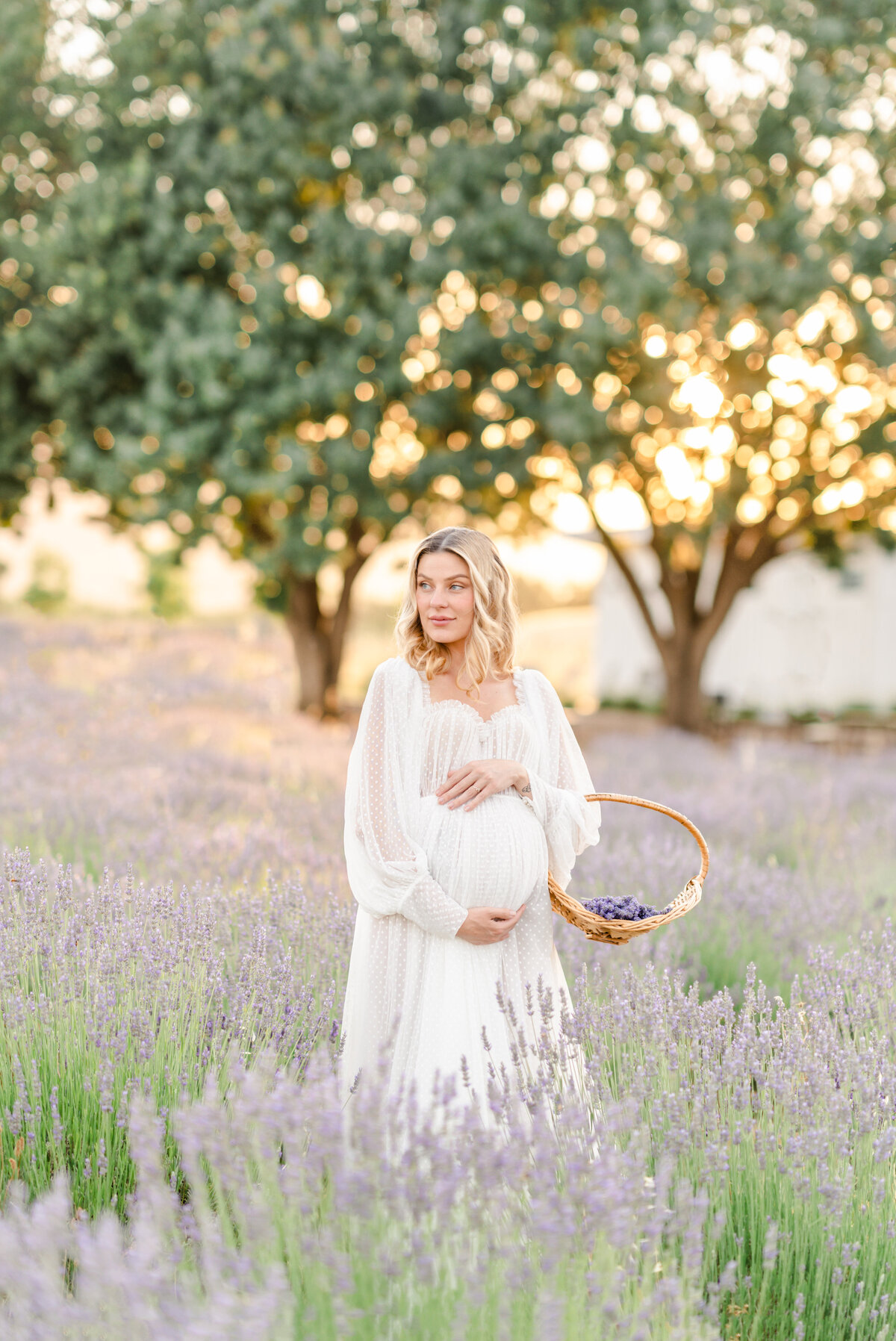 A maternity session photographed by Bay Area Photographer, Light Livin Photography shows an expecting mother standing and caressing her baby bump in a field of lavender.