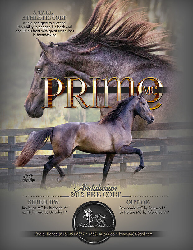 andalusian PRE horse ad design