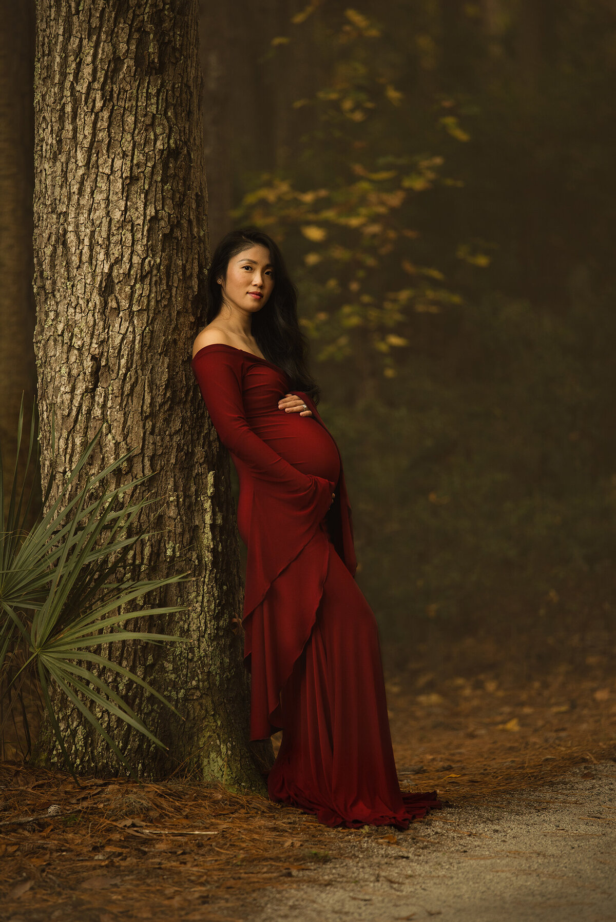 Cumberland Island maternity photographer, maternity photography near me, get maternity photos taken Cumberland Island
