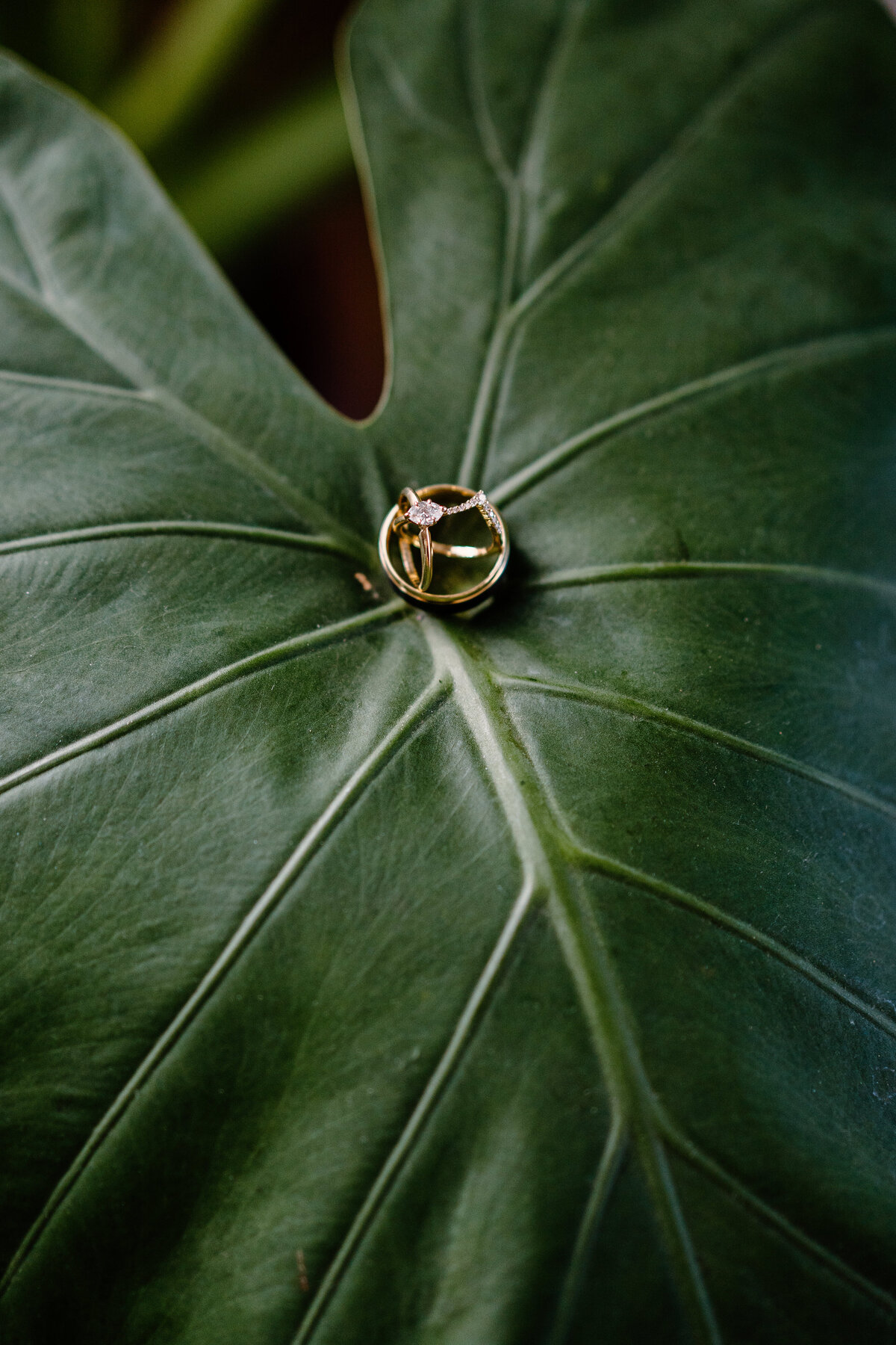 wedding rings on a leaf