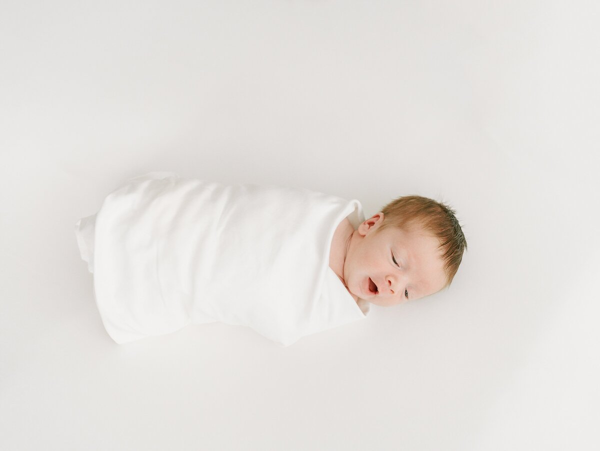 navy-dress-studio-newborn-photos-5