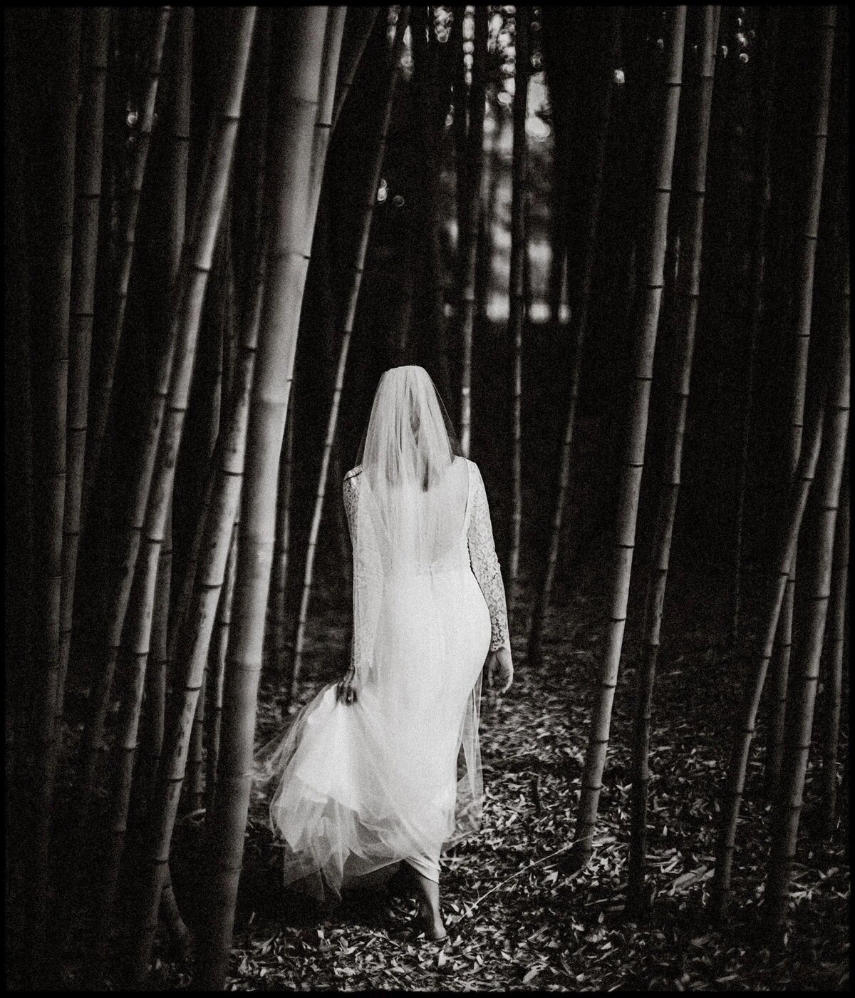 A bride walking through a wooded area