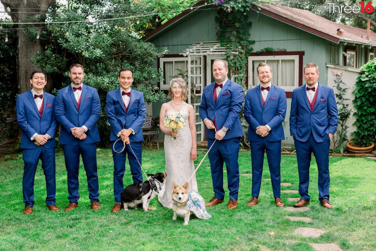 Bride and Groom pose with the Groomsmen and their two dogs