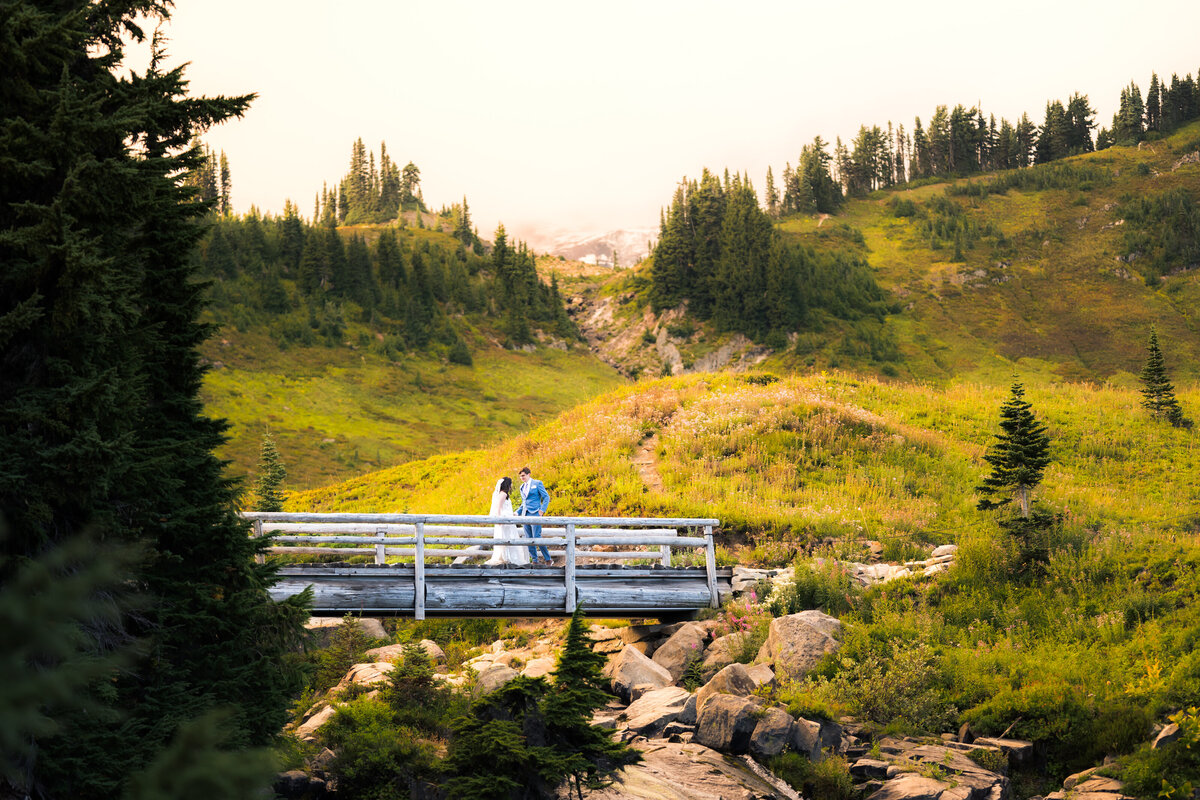 Mt Rainier National Park Elopement Photographer