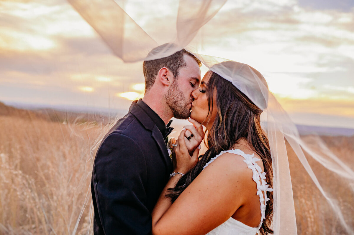 photo of a bride and groom kissing underneath the veil