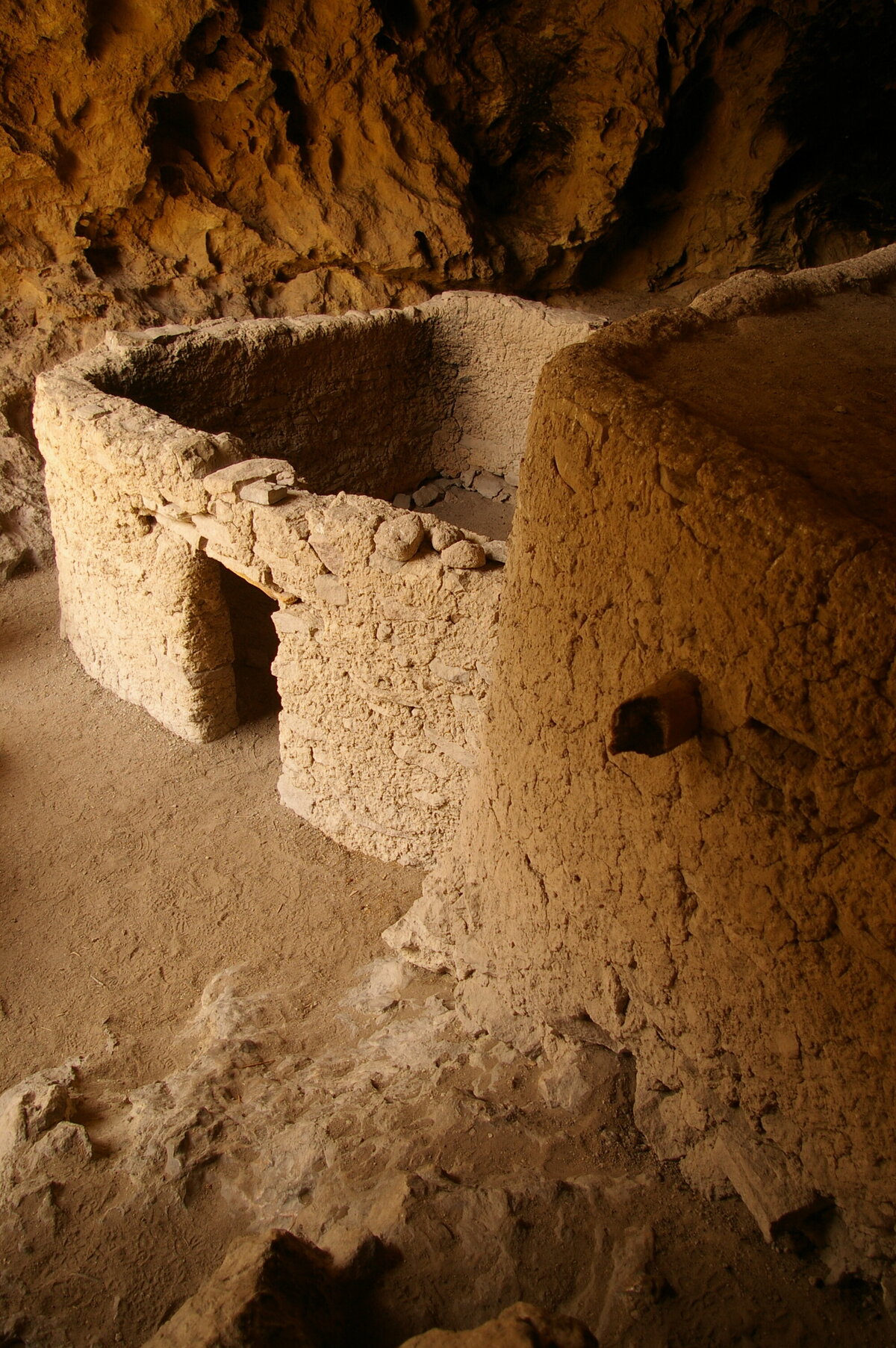 IMGP6981