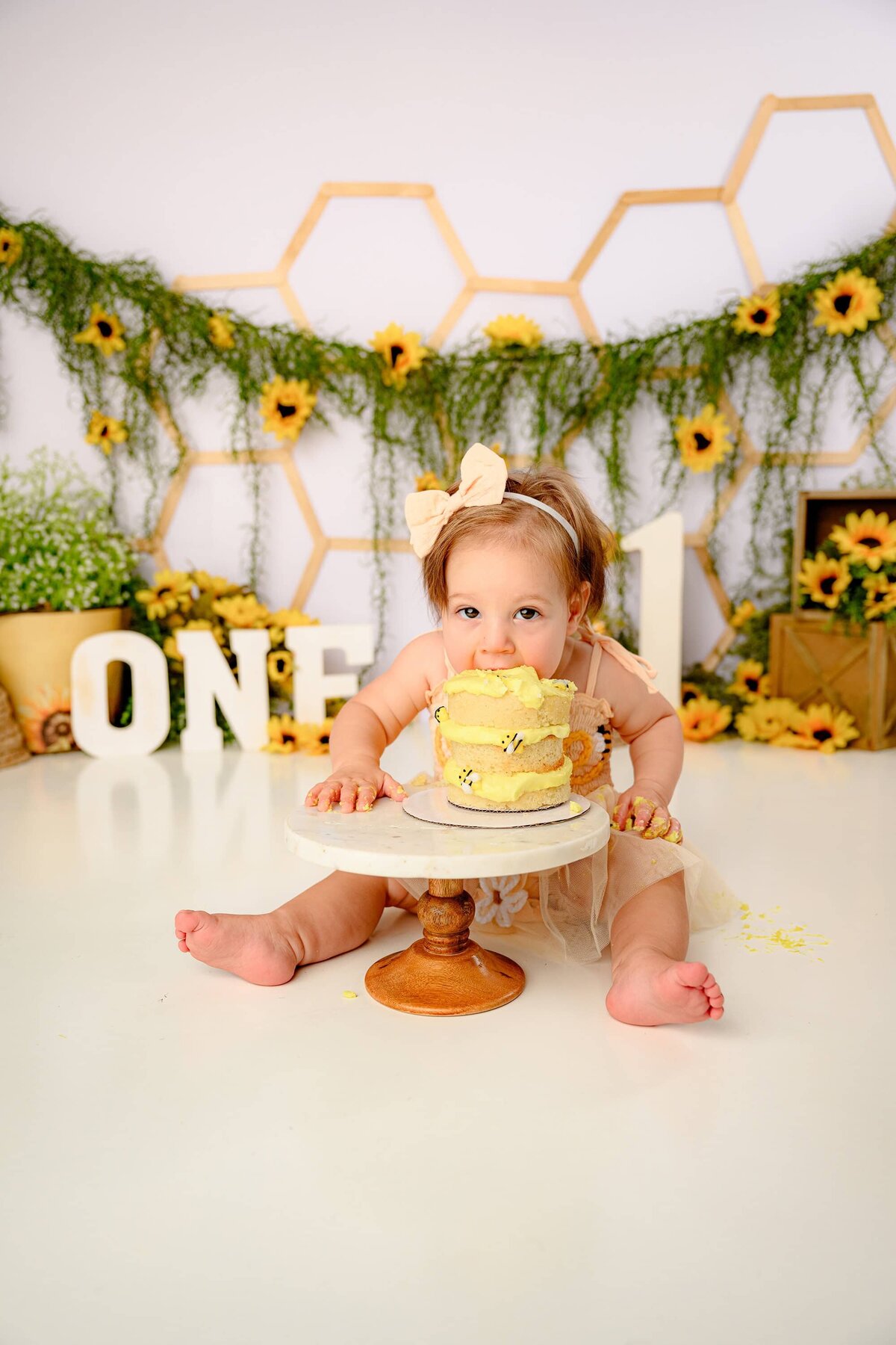 Tobis-Timeless-Treasures-Charlotte-NC-Milestone-Photographer-Cake-Smash-80