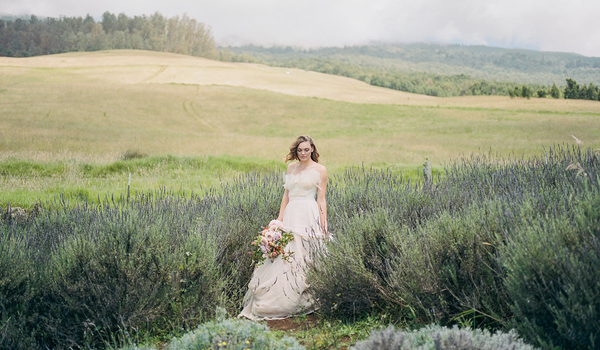 Alii-Kula-Lavender_Maui-Wedding-Photographer_Caitlin-Cathey-Photo_crop