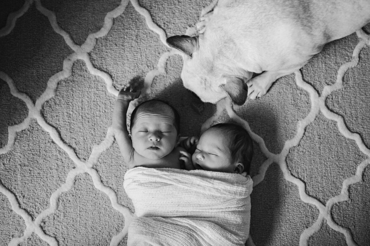 jean smith_michigan newborn photographer-107