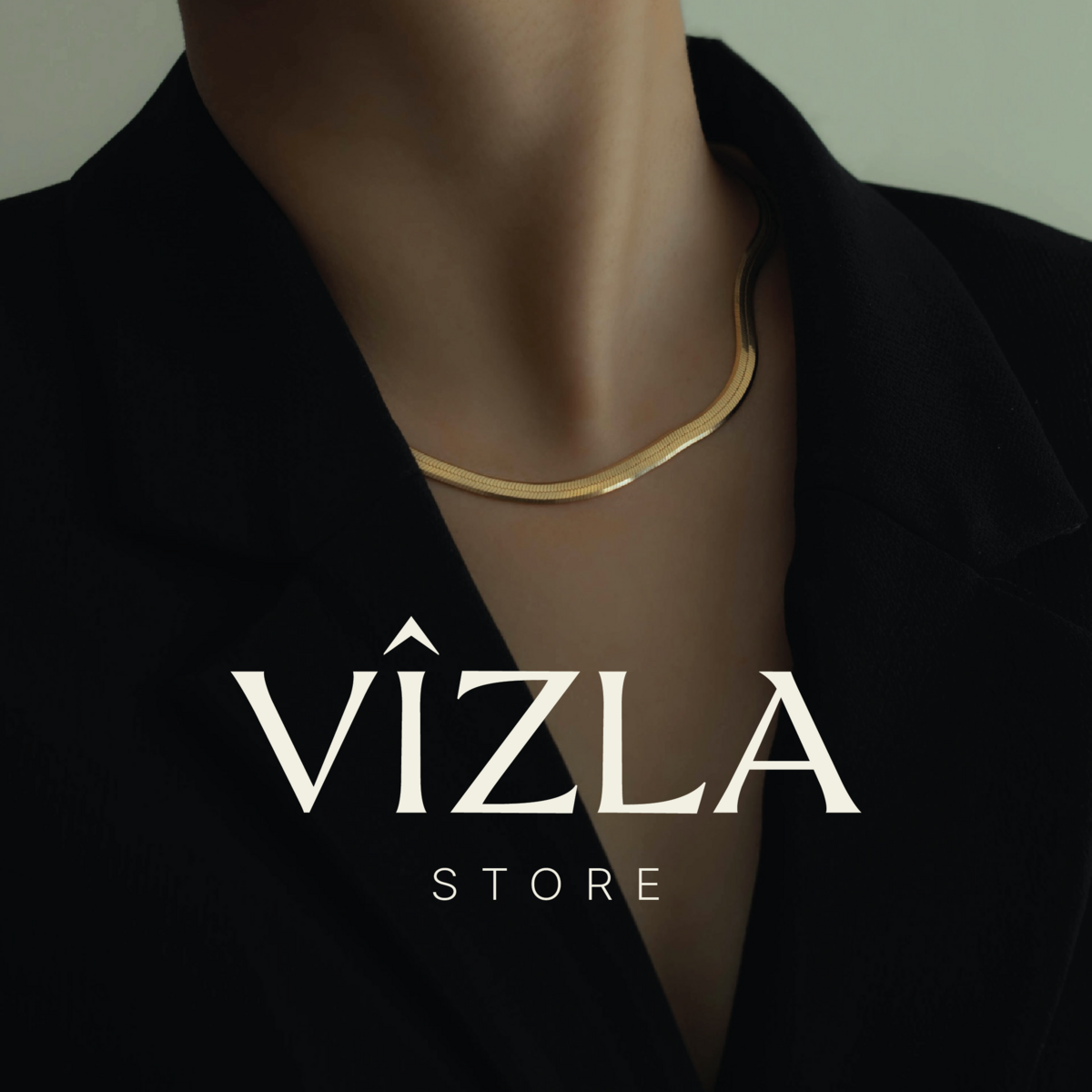 Brand Identity Vizla v2-01