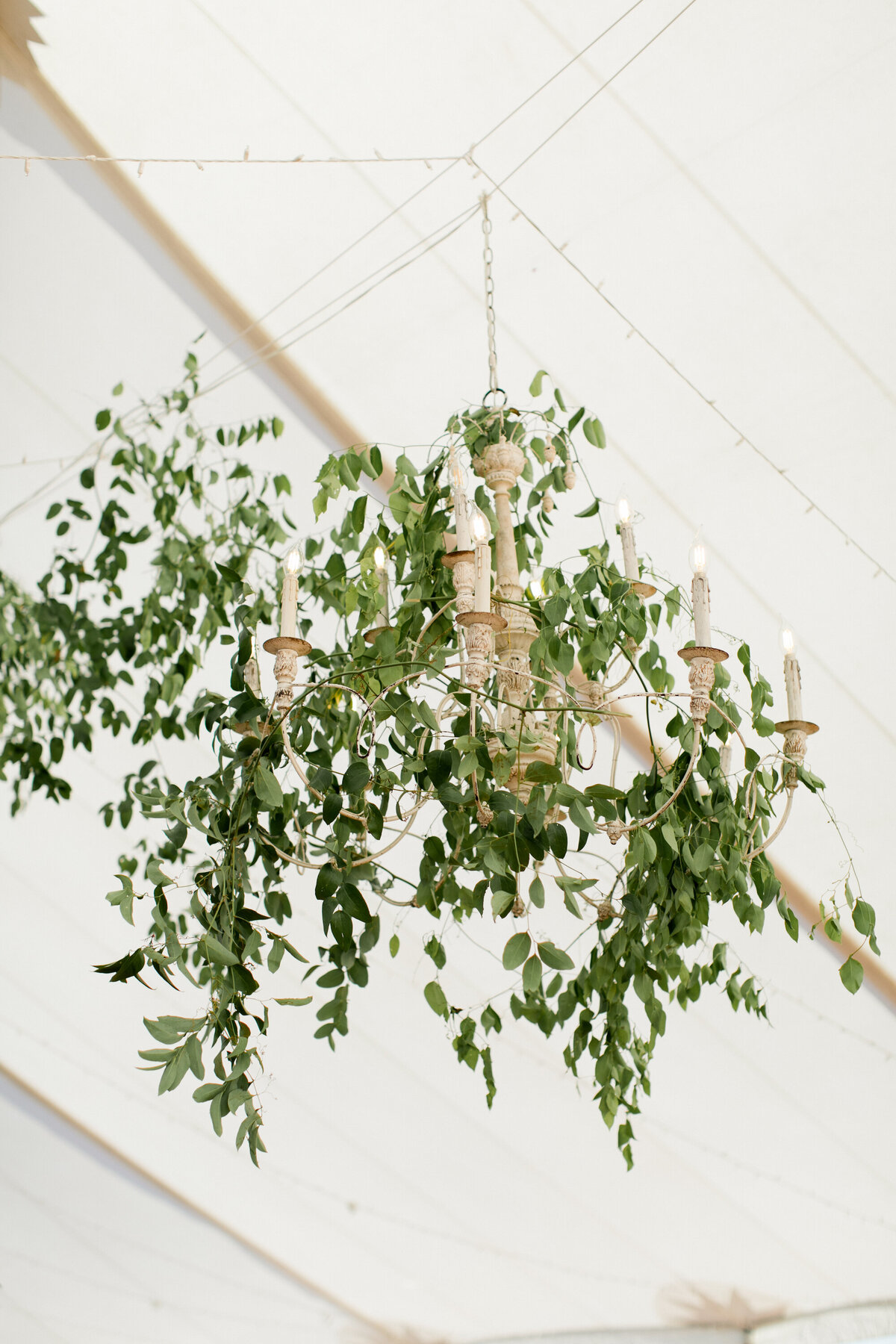 branford-house-wedding-lighting-nightingale-wedding-and-events-