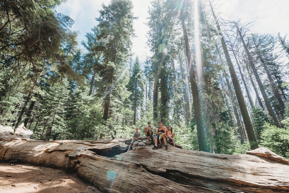 yosemite-road-trip_0237
