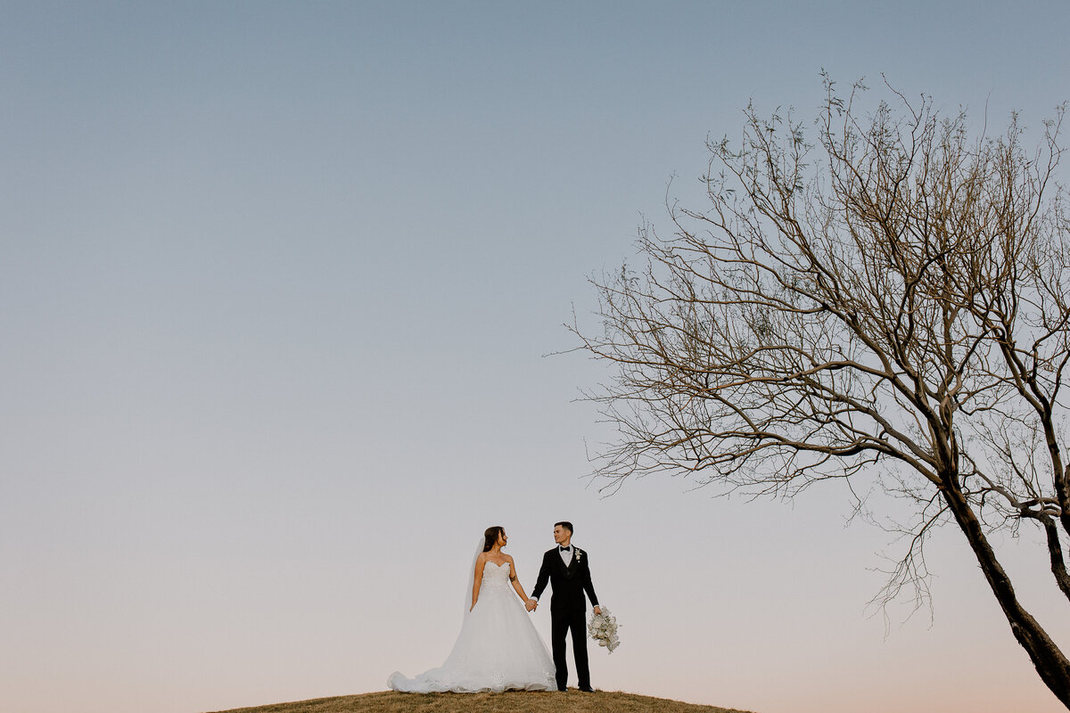 A couple holding hands while standing at the top of a hill.