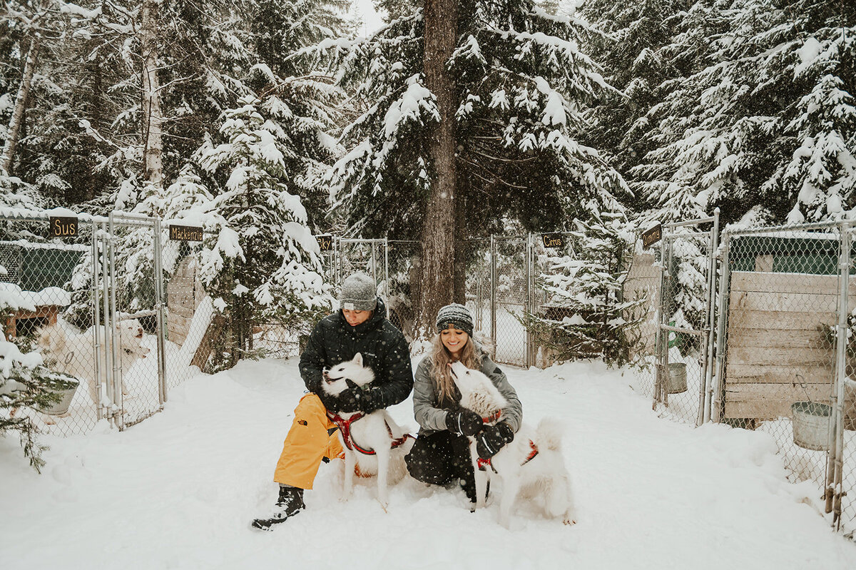 winter-montana-dog-sledding-proposal-presley-gray-photo-7474