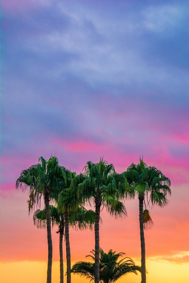 adam-birkett-75EFpyXu3Wg-unsplash