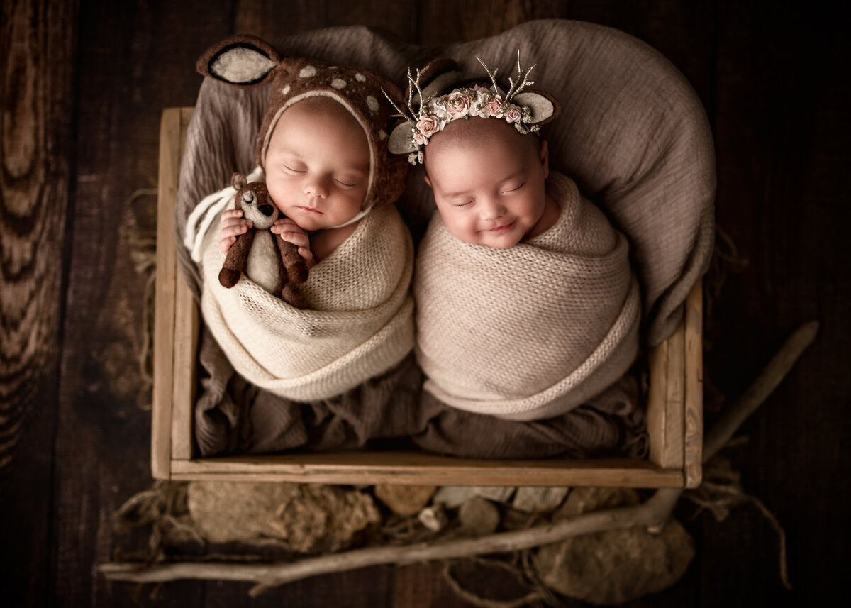 Miller Twins Lehigh Valley Newborn Photographer-4