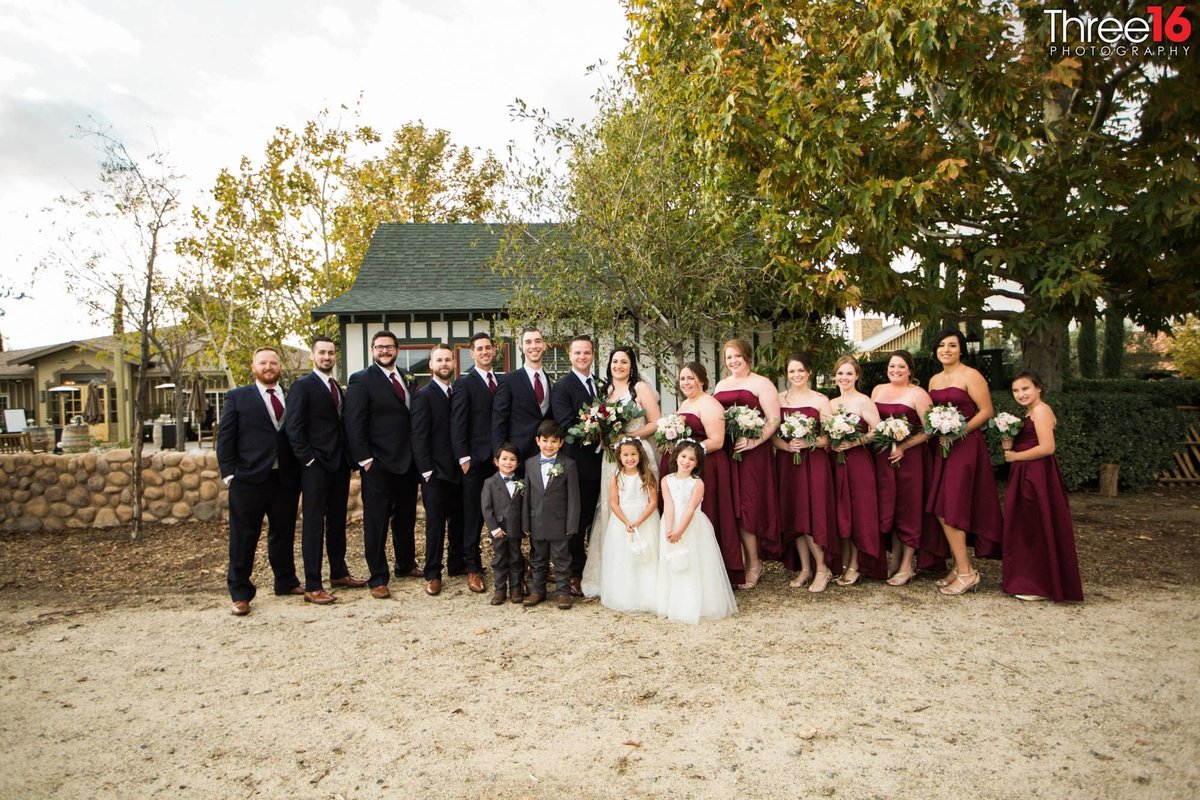 Bride and Groom pose together with their entire wedding party