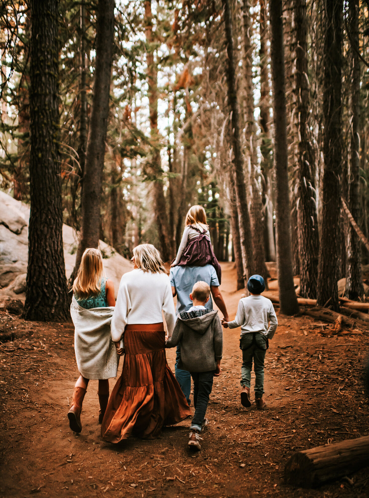 Family walking and holding hands in the forest.