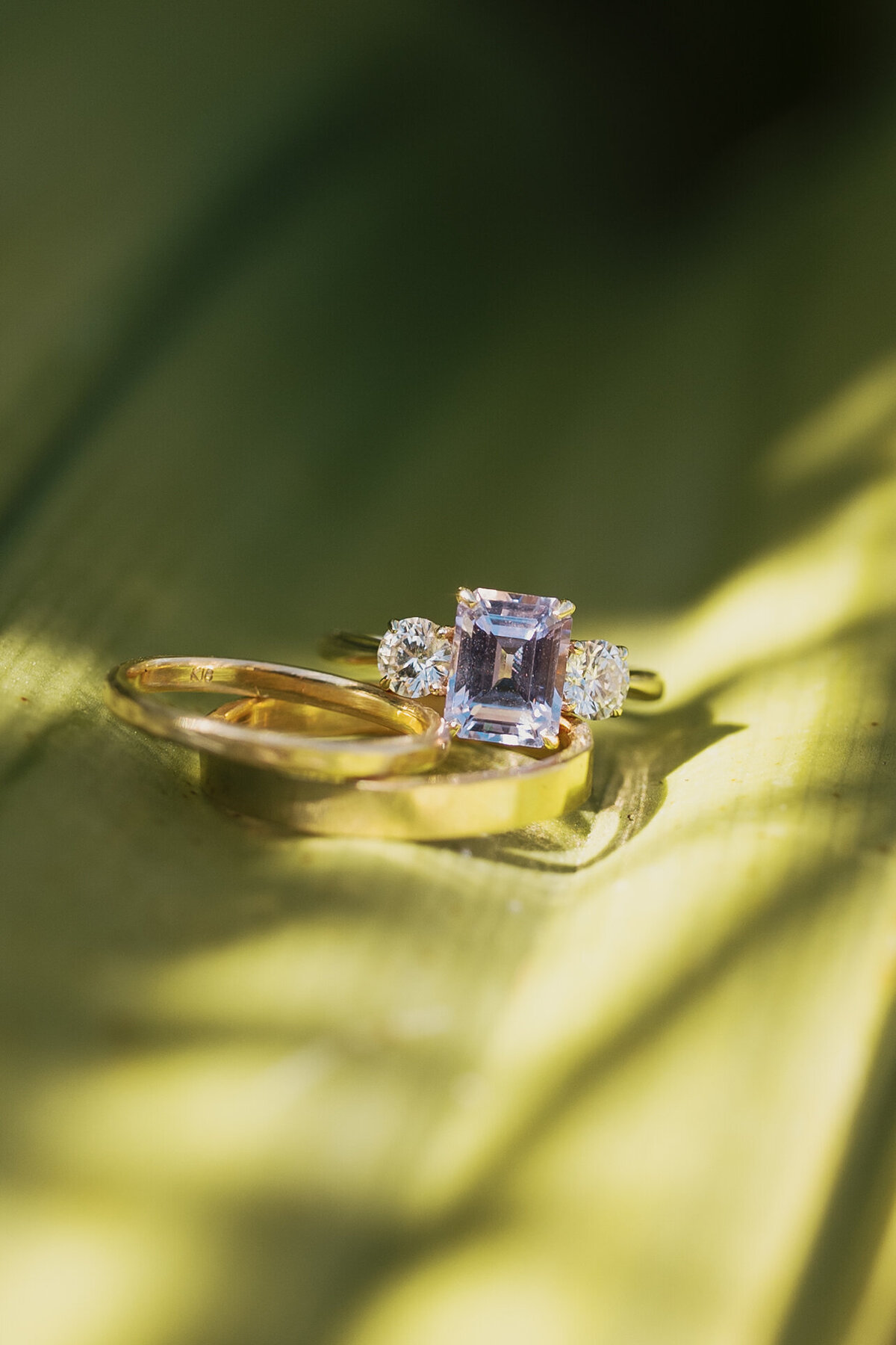 MAE120224_NiaRowlandPhotography-203