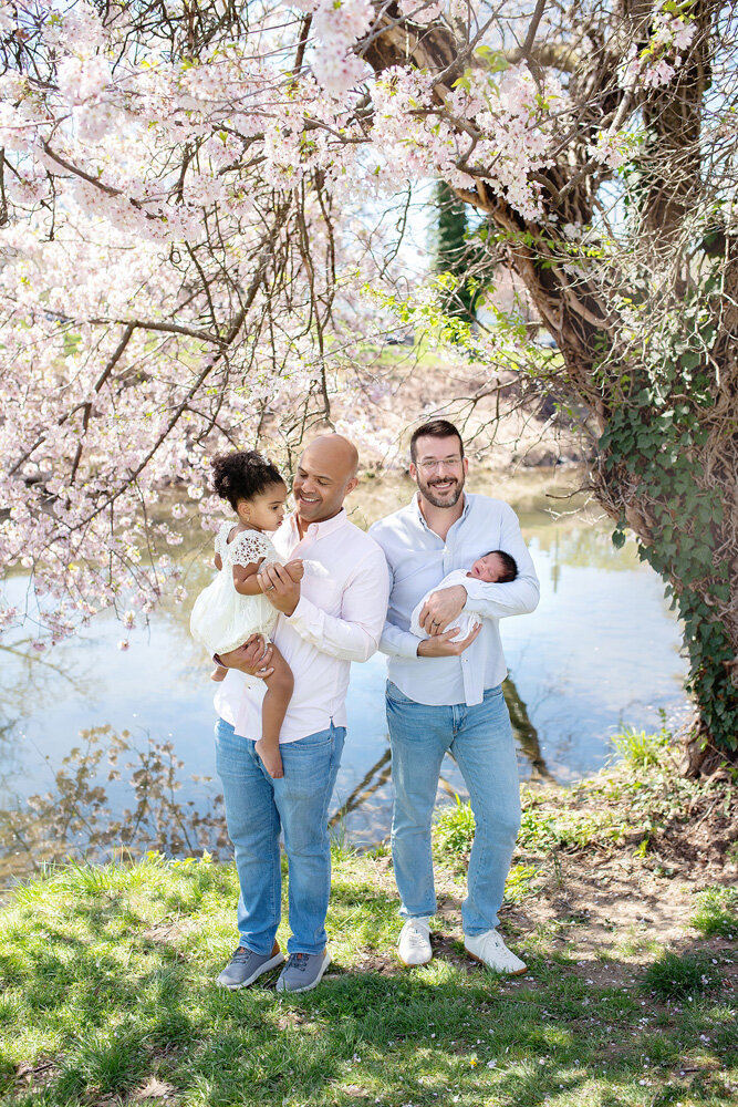 Newborn session at cherry blossoms