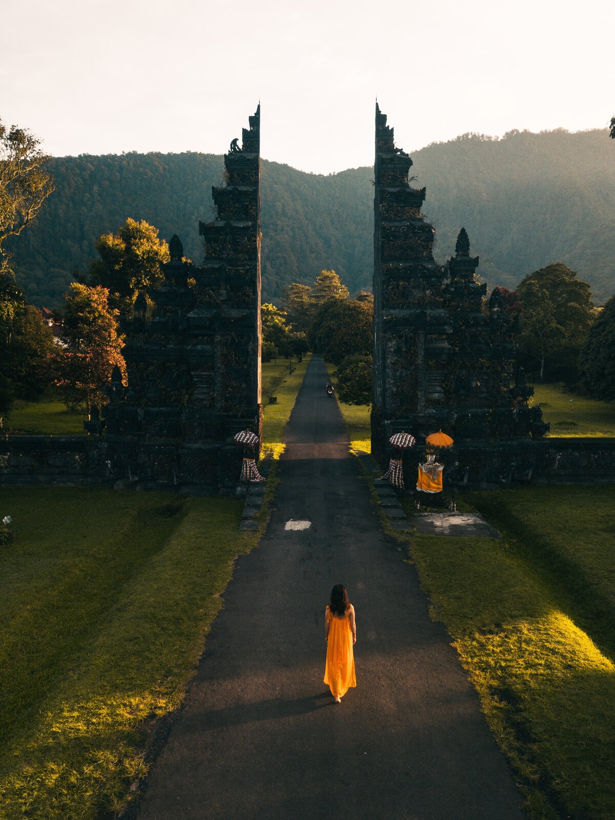 pexels-stijn-dijkstra-2499699