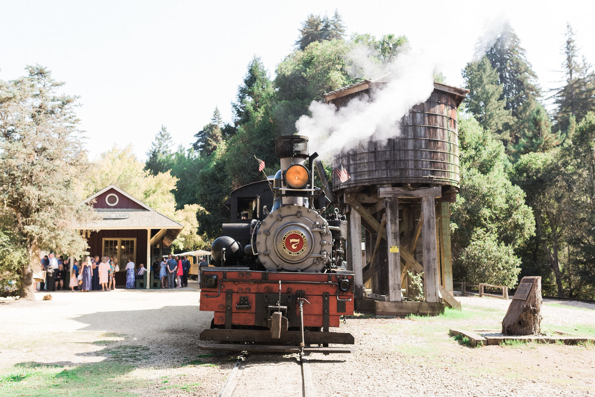 Roaring Camp Railroad Santa Cruz Wedding25