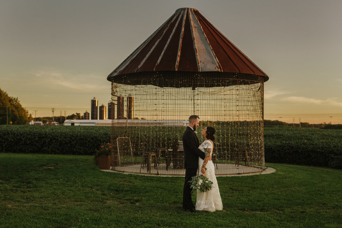 NortheastOhioWeddingPhotographer-RunningHorseFarm-Nikki&Tom-0644-2