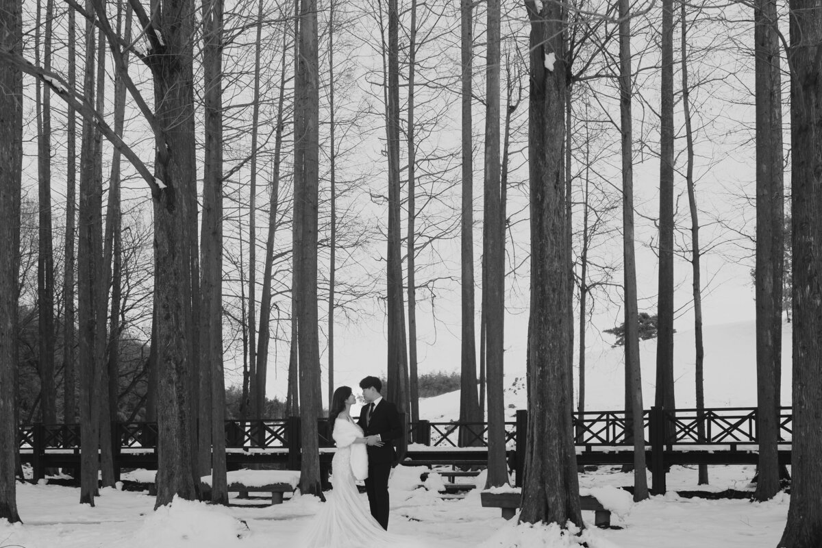 the couple in a forest in damyang south korea