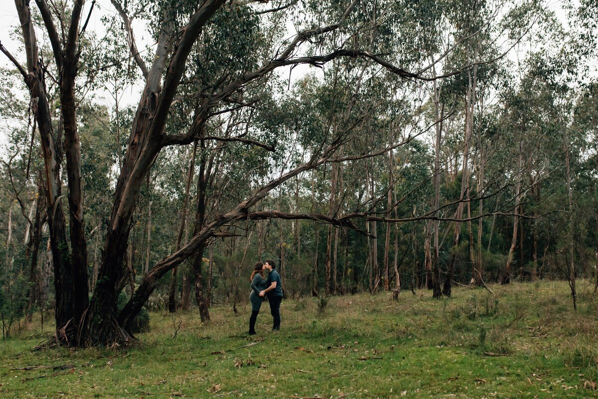 Husband and wife standing and kissing in the distance under a tree in Melbourne bushland.