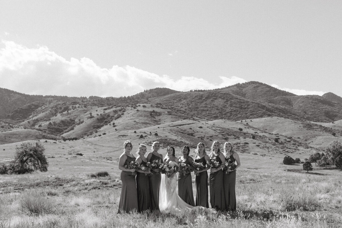 AhnaMariaPhotography_Wedding_Colorado_Fiona&David-71
