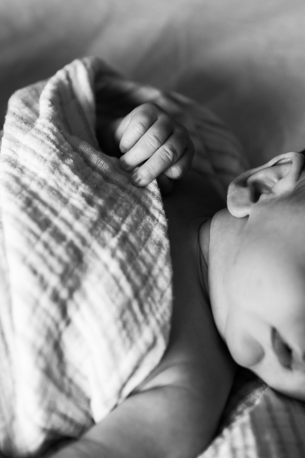 closeup of newborn baby hand