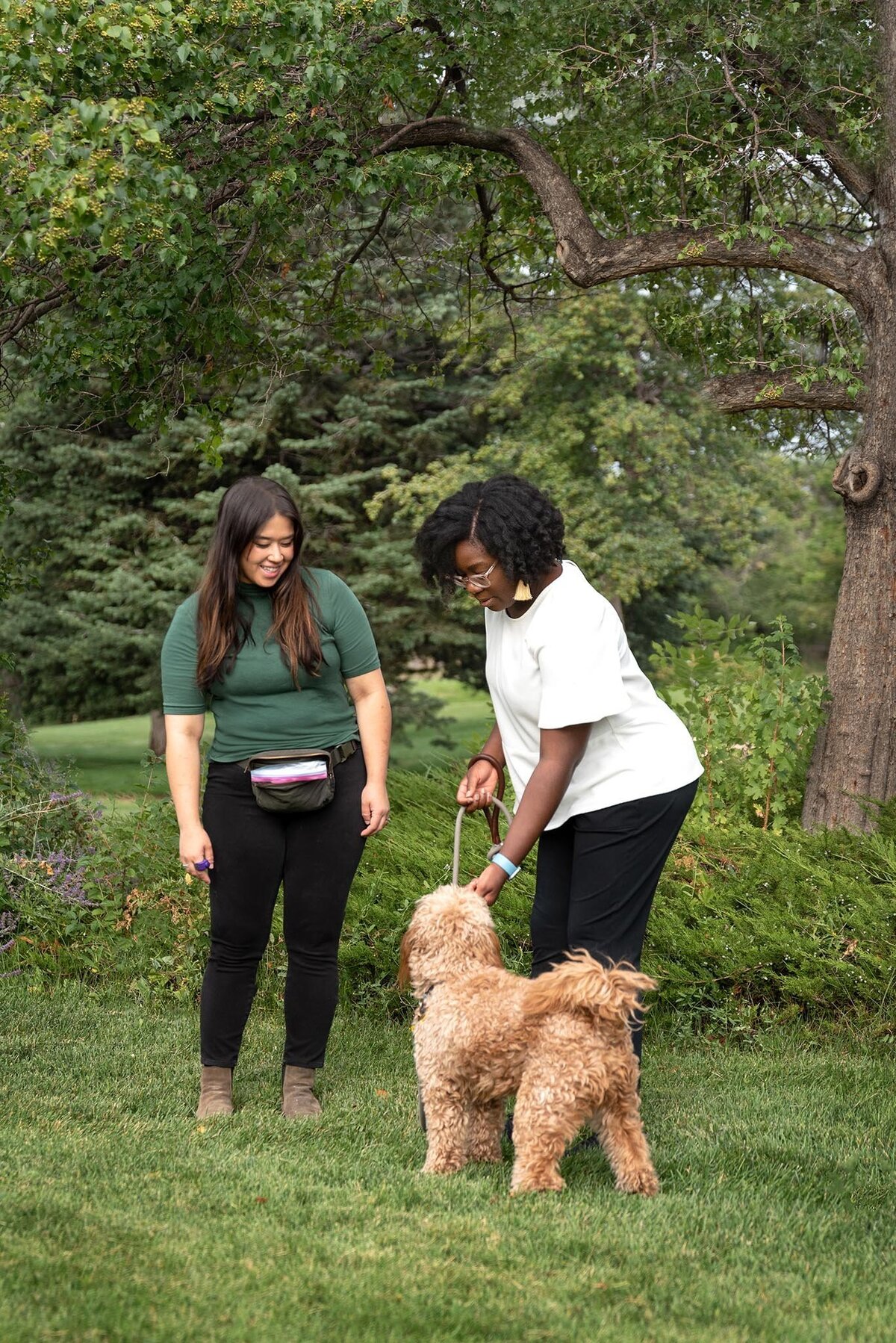 Dog-Trainer-Working-with-Client