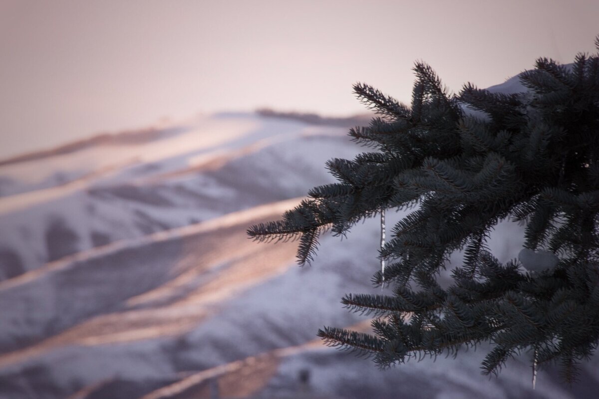 DSC_8085-Edit
