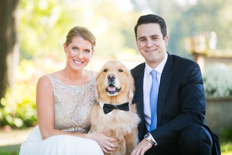 Annapolis wedding photographer dog in bowtie