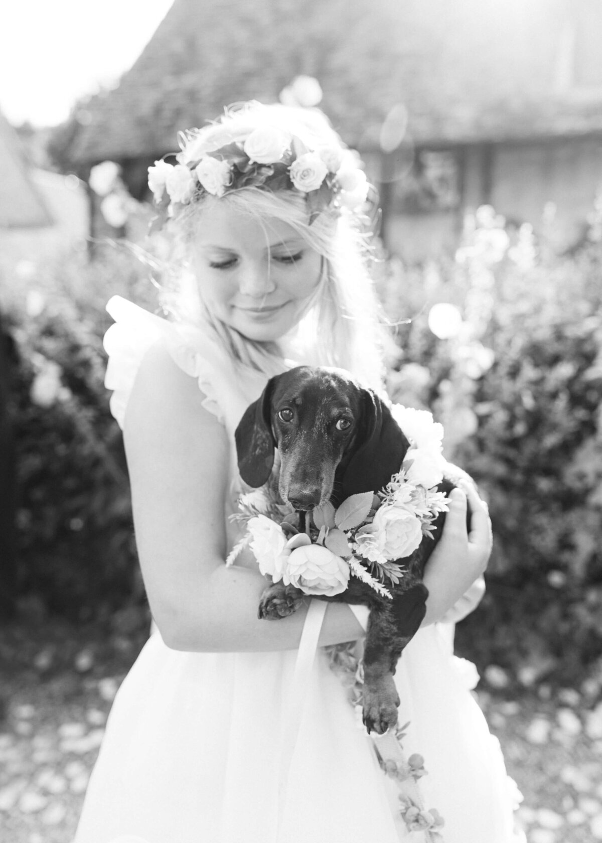 chloe-winstanley-weddings-flower-girl-dachshund-dog