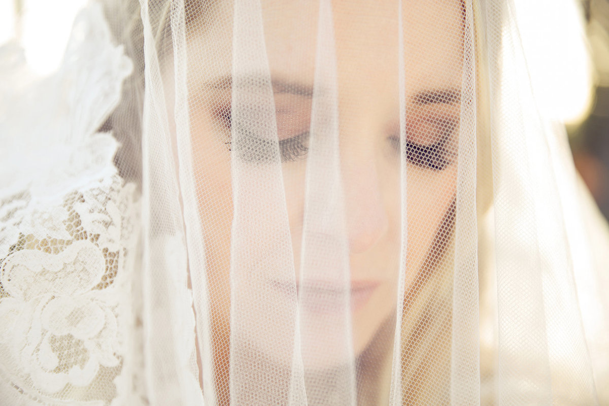 Paradise Point Resort wedding photos bride with veil