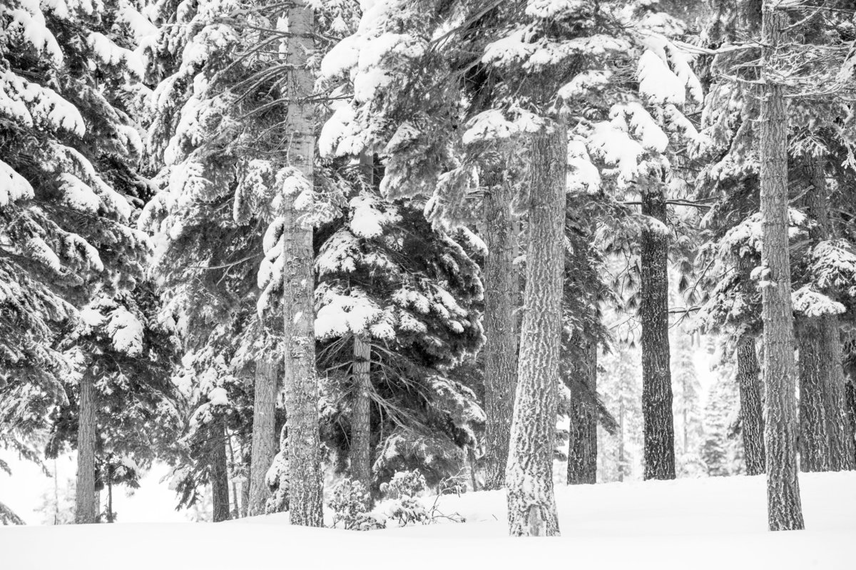 Lake Tahoe, California No007