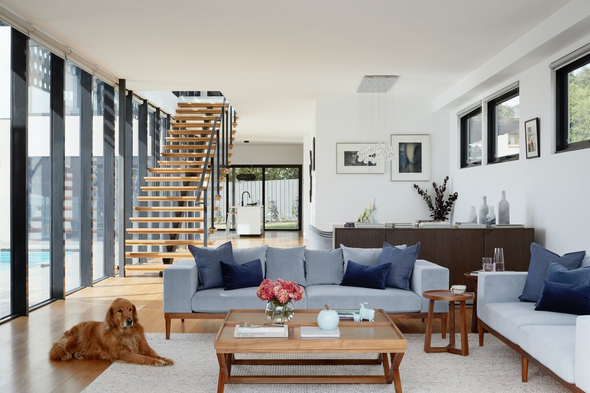Modern living room filled with light with dog laying on rug