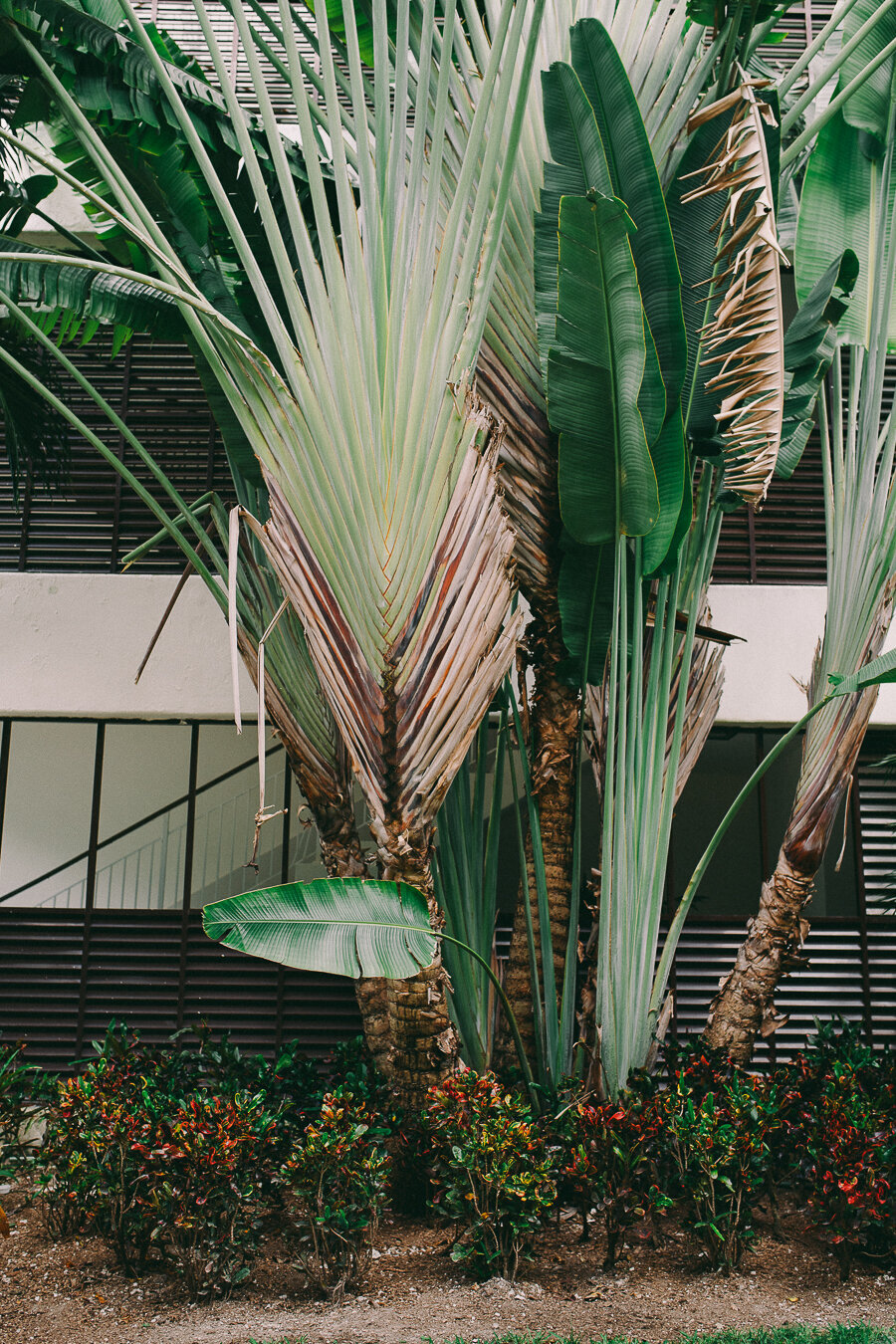 mexico-destination-wedding