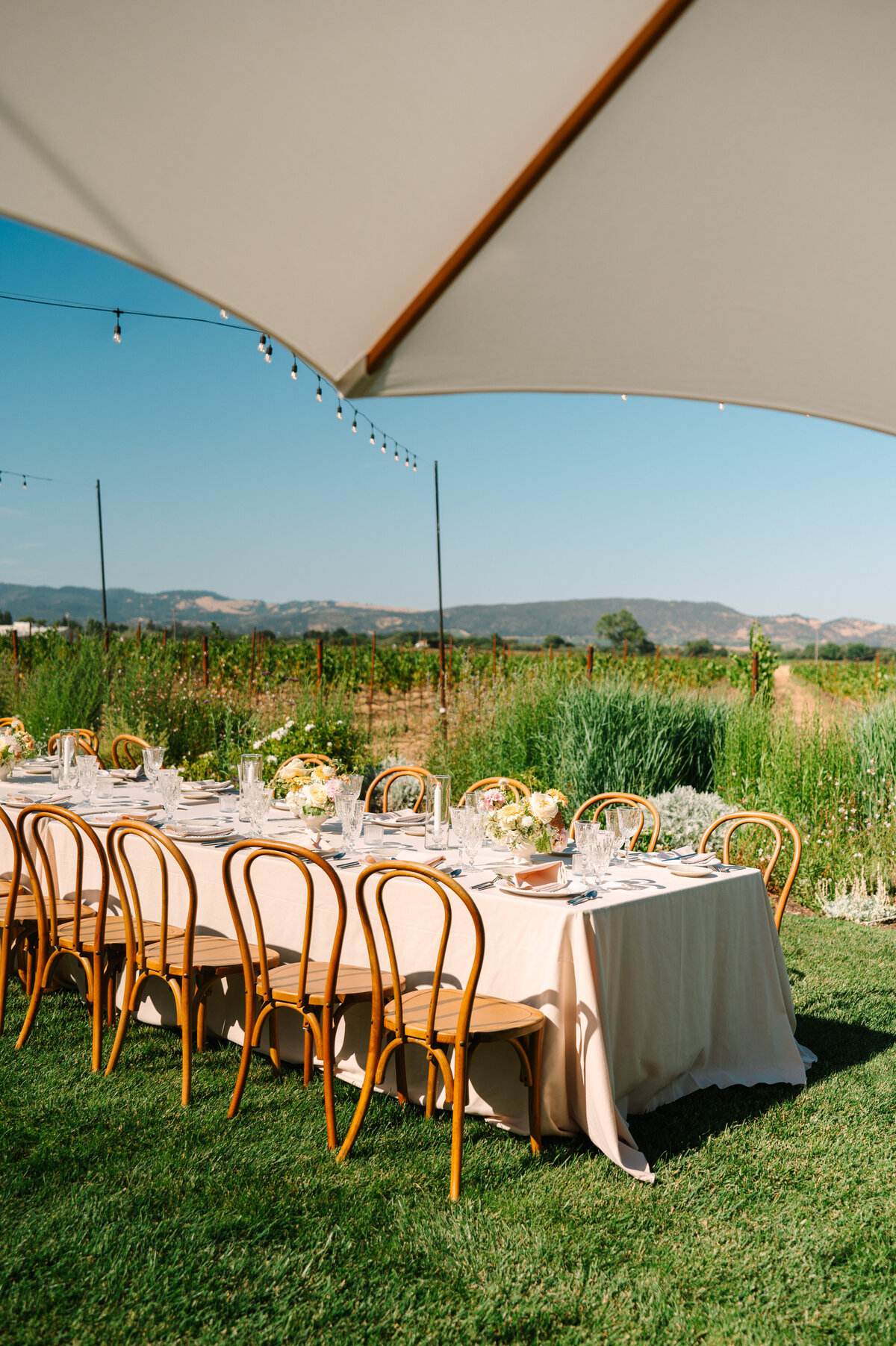 Best California Wedding Photographer-& Co by Jodee-Jodee Friday & Co-259