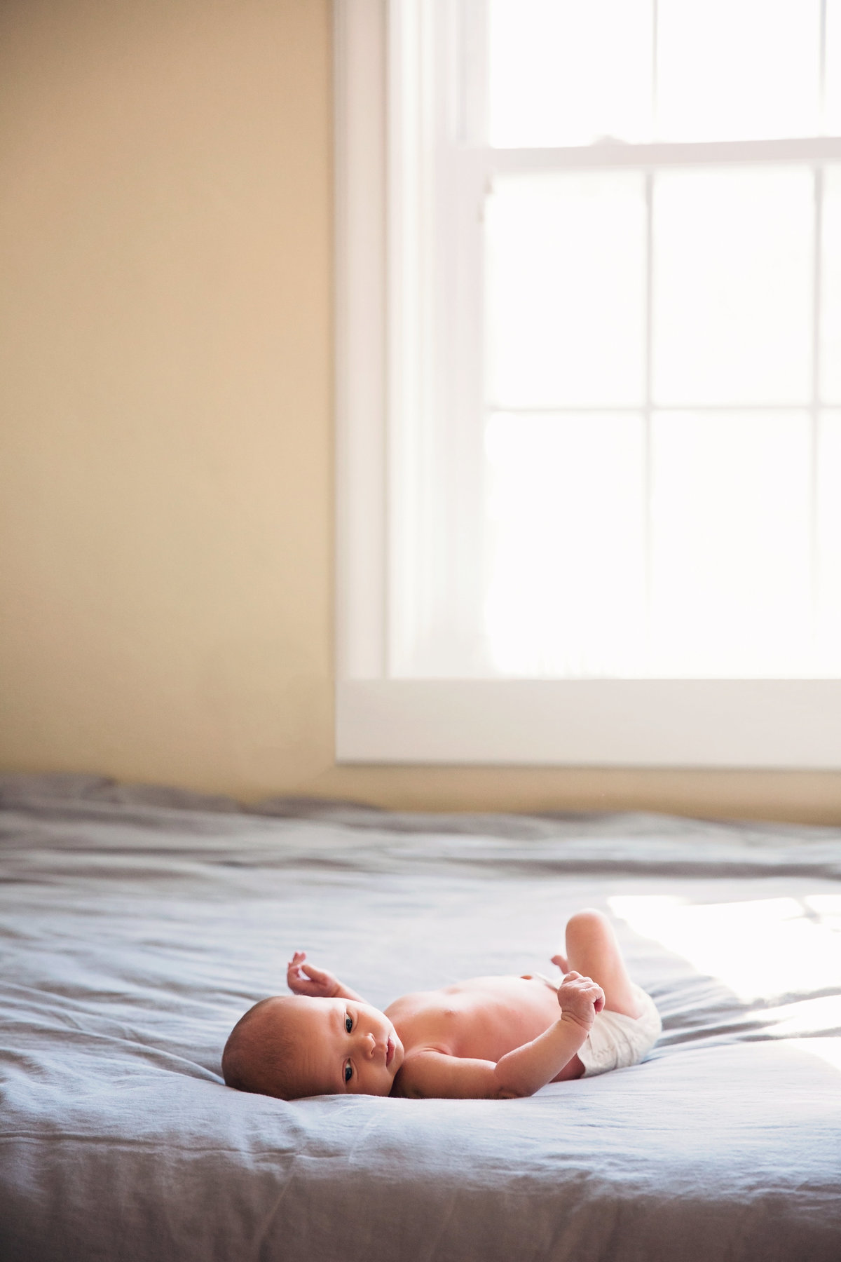 Newborn Photographer Missouri