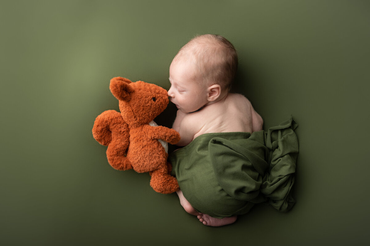 Wrapped newborn table pose with a fox teddy on an olive green backdrop
